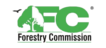 forest_600x600_b1bcf3